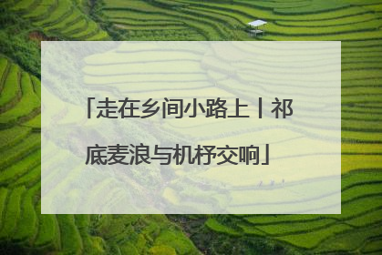 走在乡间小路上丨祁底麦浪与机杼交响