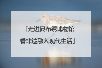 走进夏布绣博物馆 看非遗融入现代生活
