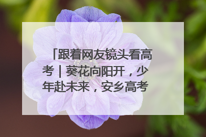跟着网友镜头看高考｜葵花向阳开，少年赴未来，安乡高考首日的希望图景