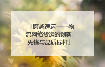 跨越速运——物流网络货运的创新先锋与品质标杆