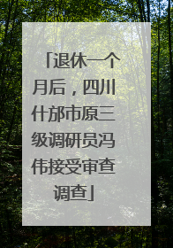 退休一个月后，四川什邡市原三级调研员冯伟接受审查调查