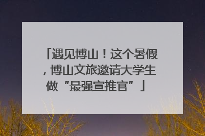 遇见博山！这个暑假，博山文旅邀请大学生做“最强宣推官”