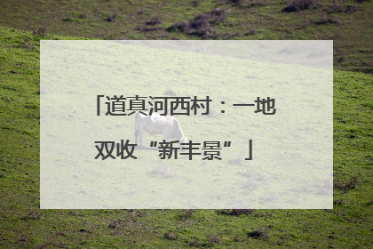 道真河西村：一地双收“新丰景”