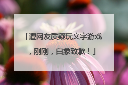 遭网友质疑玩文字游戏，刚刚，白象致歉！