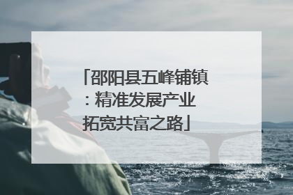 邵阳县五峰铺镇：精准发展产业 拓宽共富之路