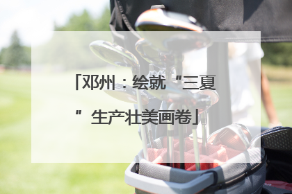邓州：绘就“三夏”生产壮美画卷