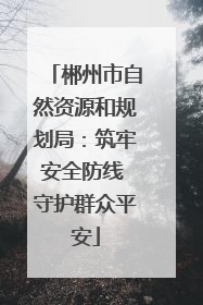郴州市自然资源和规划局：筑牢安全防线 守护群众平安