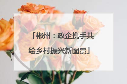 郴州：政企携手共绘乡村振兴新图景