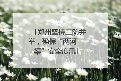 郑州坚持三防并举，确保“两河一渠”安全度汛