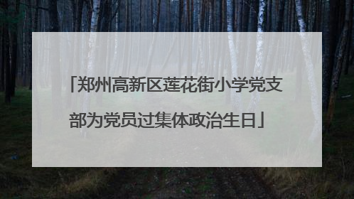 郑州高新区莲花街小学党支部为党员过集体政治生日