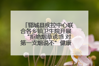 郓城县疾控中心联合各乡镇卫生院开展“拒绝烟草诱惑 对第一支烟说不”健康教育宣传活动