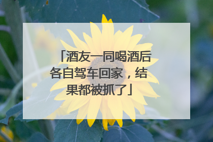 酒友一同喝酒后各自驾车回家，结果都被抓了