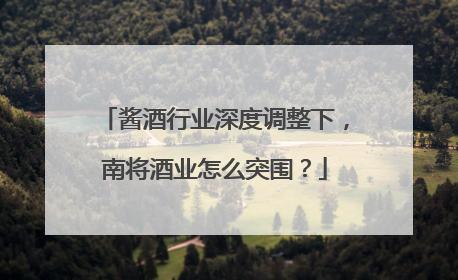 酱酒行业深度调整下，南将酒业怎么突围？