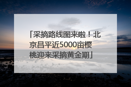 采摘路线图来啦！北京昌平近5000亩樱桃迎来采摘黄金期