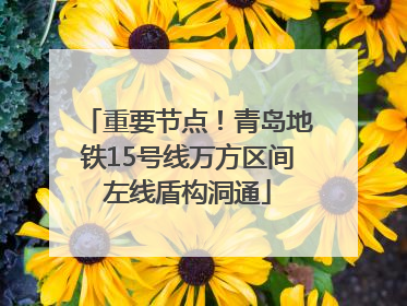 重要节点！青岛地铁15号线万方区间左线盾构洞通