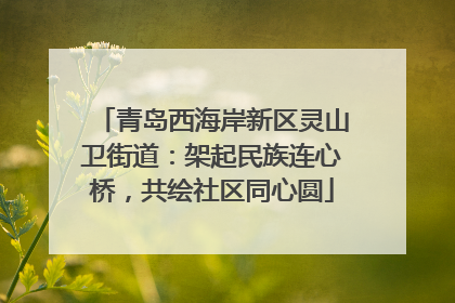 青岛西海岸新区灵山卫街道：架起民族连心桥，共绘社区同心圆
