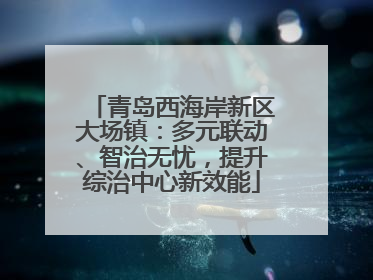 青岛西海岸新区大场镇：多元联动、智治无忧，提升综治中心新效能
