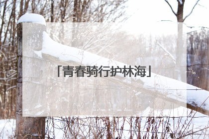 青春骑行护林海