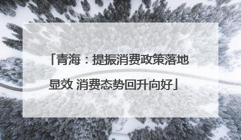 青海：提振消费政策落地显效 消费态势回升向好