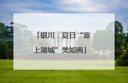 银川：夏日“塞上湖城”美如画