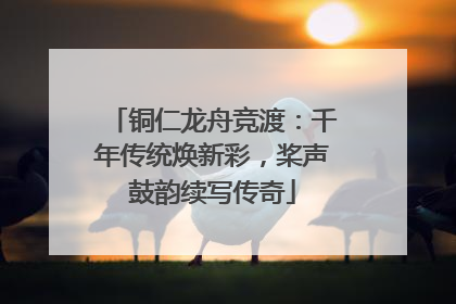 铜仁龙舟竞渡:千年传统焕新彩,桨声鼓韵续写传奇