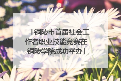 铜陵市首届社会工作者职业技能竞赛在铜陵学院成功举办