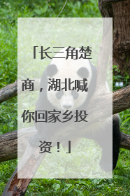 长三角楚商，湖北喊你回家乡投资！