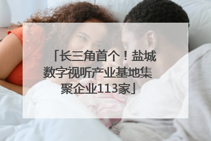 长三角首个！盐城数字视听产业基地集聚企业113家