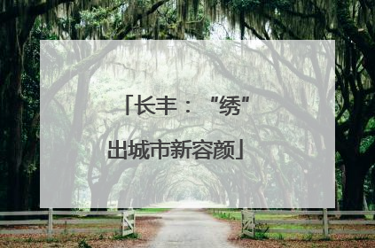 长丰：“绣”出城市新容颜