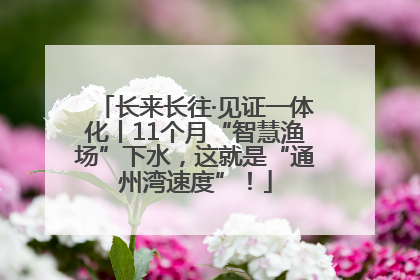 长来长往·见证一体化丨11个月“智慧渔场”下水，这就是“通州湾速度”！