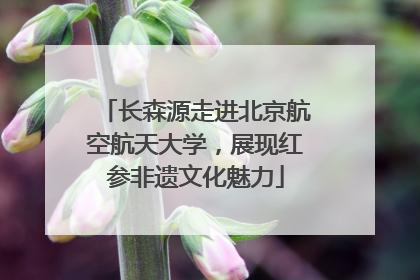 长森源走进北京航空航天大学，展现红参非遗文化魅力
