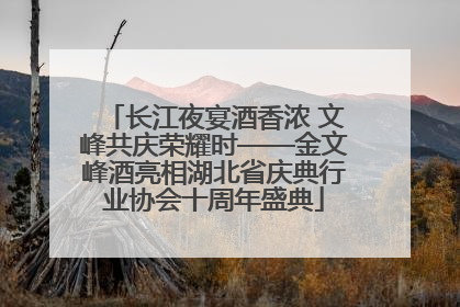 长江夜宴酒香浓 文峰共庆荣耀时——金文峰酒亮相湖北省庆典行业协会十周年盛典