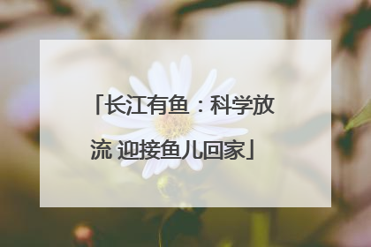 长江有鱼：科学放流 迎接鱼儿回家