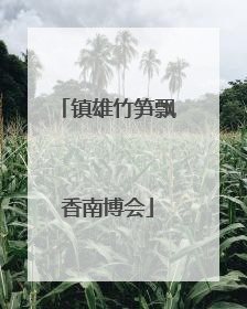 镇雄竹笋飘香南博会