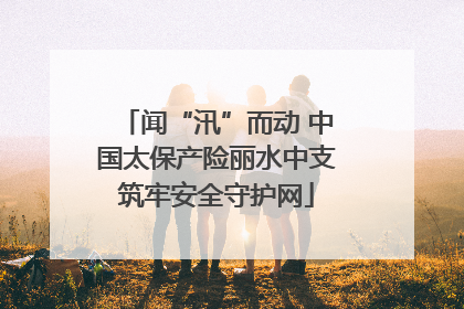 闻“汛”而动 中国太保产险丽水中支筑牢安全守护网