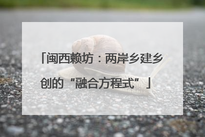 闽西赖坊：两岸乡建乡创的“融合方程式”