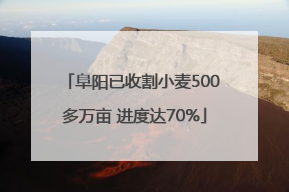 阜阳已收割小麦500多万亩 进度达70%
