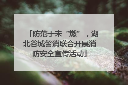 防范于未“燃”，湖北谷城警消联合开展消防安全宣传活动