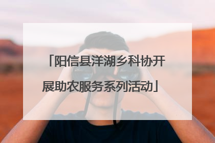阳信县洋湖乡科协开展助农服务系列活动