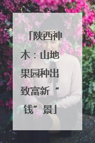 陕西神木：山地果园种出致富新“钱”景