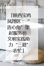 陕西宝鸡凤翔区：“连心角”架起服务桥 文明实践助力“三夏”农忙