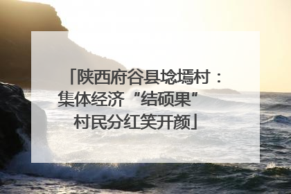 陕西府谷县埝墕村：集体经济“结硕果” 村民分红笑开颜
