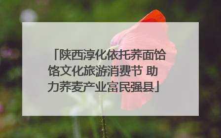 陕西淳化依托荞面饸饹文化旅游消费节 助力荞麦产业富民强县