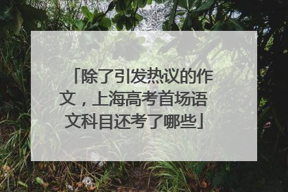 除了引发热议的作文，上海高考首场语文科目还考了哪些