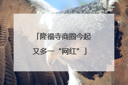 隆福寺商圈今起又多一“网红”