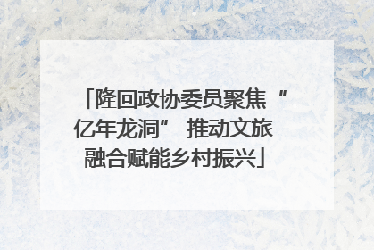 隆回政协委员聚焦“亿年龙洞” 推动文旅融合赋能乡村振兴