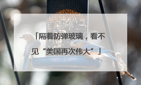 隔着防弹玻璃，看不见“美国再次伟大”