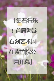 集石行乐！首届海淀石刻艺术周在紫竹院公园开幕