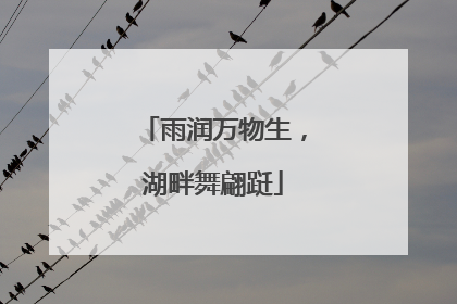 雨润万物生，湖畔舞翩跹