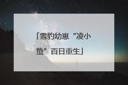 雪豹幼崽“凌小蛰”百日重生